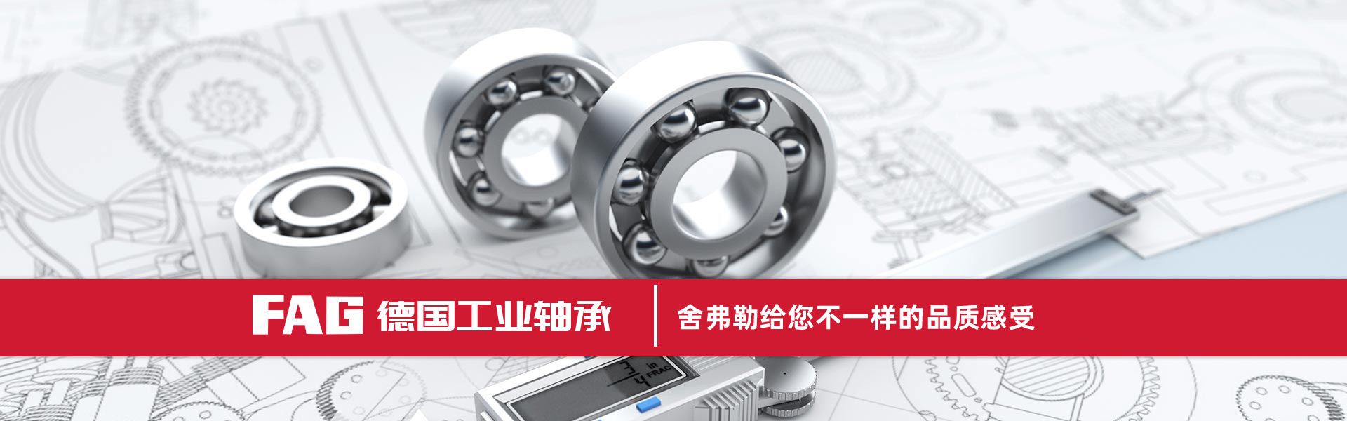 FAG进口轴承